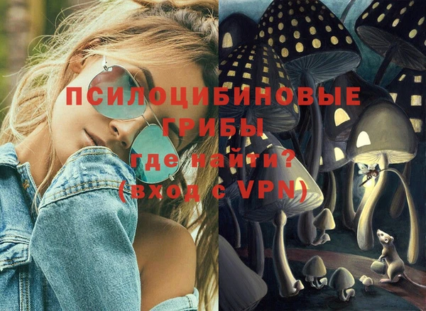 винт Арсеньев