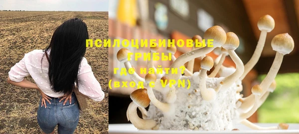 ALPHA PVP Армянск