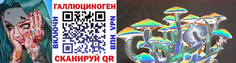 Псилоцибиновые грибы Psilocybe  цена наркотик  гидра как войти  Олёкминск 
